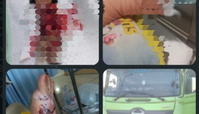 Truk Ekspedisi Terlibat Kecelakaan di Bundaran Simpang Lima Sintang, Penumpang Motor Alami Luka Berat